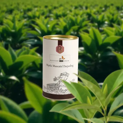 Mystic Muscatel Darjeeling
